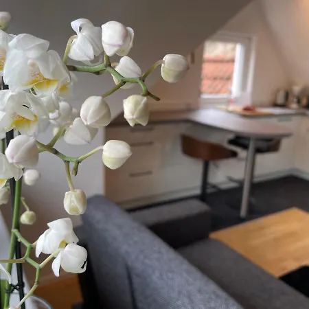 Boutique Mit Gartensauna, Naehe Europapark Und Strassburg 