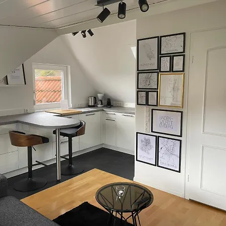Boutique Mit Gartensauna, Naehe Europapark Und Strassburg 