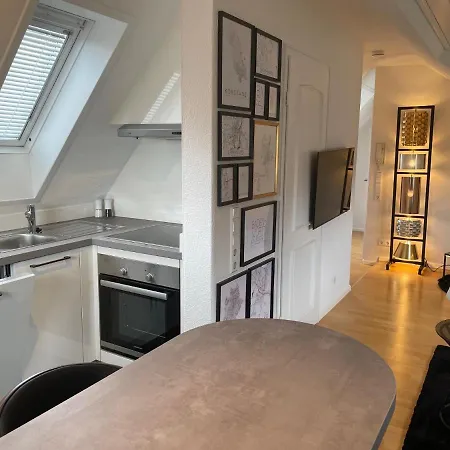 Apartment Boutique Mit Gartensauna, Naehe Europapark Und Strassburg 