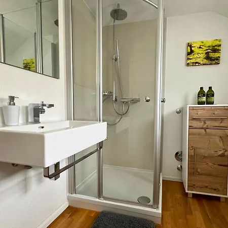 Boutique Mit Gartensauna, Naehe Europapark Und Strassburg 