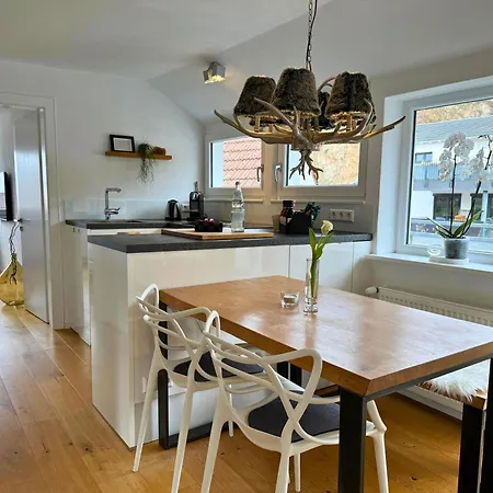 Boutique Mit Gartensauna, Nähe Europapark Und Straßburg übernacht - Am Talbach Apartamento