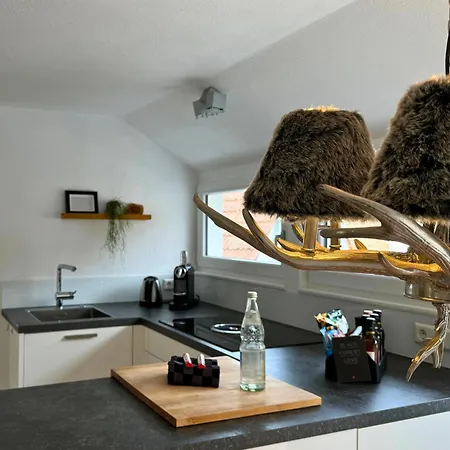 Boutique Mit Gartensauna, Nähe Europapark Und Straßburg übernacht - Am Talbach Apartamento Offenburg