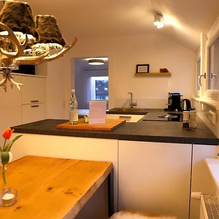 Boutique Mit Gartensauna, Naehe Europapark Und Strassburg 
