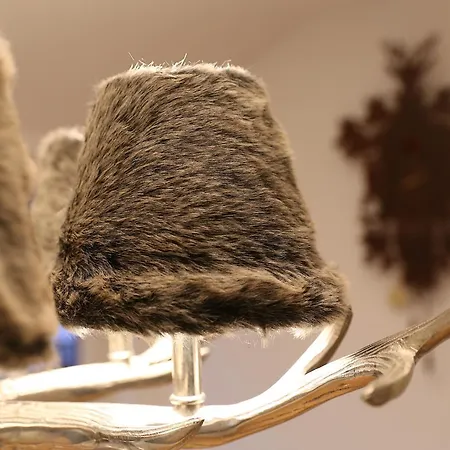 Boutique Mit Gartensauna, Nähe Europapark Und Straßburg übernacht - Am Talbach *